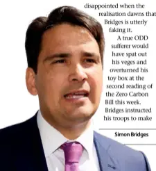  ??  ?? Simon Bridges