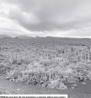  ?? ?? From the view deck, the rich vegetation is a welcome sight to weary visitors.