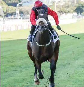  ??  ?? TOP STAYER. It’s My Turn can prove he is currently the best stayer in the country when he lines up in the R1.25-million eLan Gold Cup over 3200m at Greyville tomorrow.
