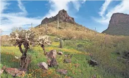  ?? GETTY IMAGES ?? See the Sonoran Desert at Picacho Peak State Park.