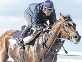  ??  ?? Pedigree: Michael Kinane rides Galileo back in 2001 shortly before the stallion was sent to stud