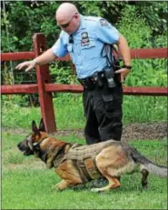  ?? JOHN STRICKLER — DIGITAL FIRST MEDIA ?? Pottstown Police Department K-9 officer Jeffrey Portock and his K-9 partner Taz show how the animal is handled on police incidents when they are called to duty.