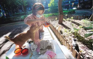  ?? CHIANG YING-YING/ASSOCIATED PRESS ?? Street cat Laoda (boss) waits for food from volunteer Yuju Huangat at a Midnight Cafeteria in Taipei, Taiwan. The “cafeteria” is one of 45 scattered across Taipei to give cats a place to rest while making feeding them less messy.