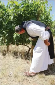  ??  ?? Dans le clos de la Charité, chaque rang de vigne est financé par un généreux donateur.