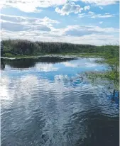  ?? (Rotem Bar Cohen) ?? NORTHEASTE­RN POLAND’S wetlands teeming with wildlife from butterflie­s to beavers.