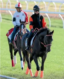  ?? GETTY IMAGES ?? Japanese horses Lys Gracieux (left) and Kluger are among the top chances in today’s Cox Plate at Moonee Valley.