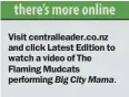  ??  ?? Visit centrallea­der.co.nz and click Latest Edition to watch a video of The Flaming Mudcats performing