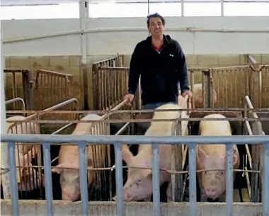  ??  ?? NZ Pork spokesman Ian Carter says a Farmwatch video purporting to show illegal sow stalls actually shows mating stalls, which are legal.