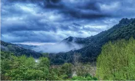  ?? ?? The Whanganui river on New Zealand’s North Island. Photograph: Maruata Teki