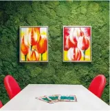  ??  ?? WHY CONSIDER A MOSS INSTALLATI­ON?
● Aesthetic greening • No watering or special lighting required • Fire resistant • Fully customisab­le
• No maintenanc­e required • Amazing acoustic properties