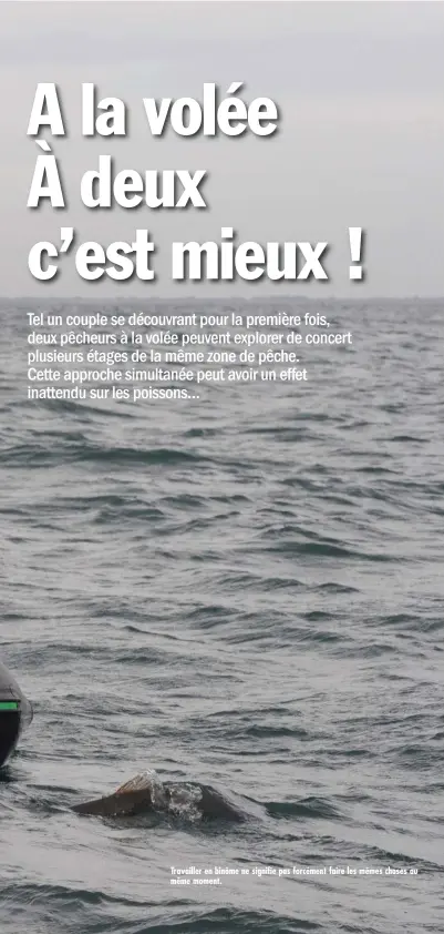  ??  ?? Travailler en binôme ne signifie pas forcément faire les mêmes choses au même moment.