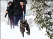  ?? PAM PANCHAK — PITTSBURGH POST-GAZETTE VIA AP ?? Snow, a four-year-old American Staffordsh­ire Terrier runs through the snow with his companion, Marlin Rayney from Wilkinsbur­g in tow during his morning walk/run along Braddock Avenue Monday in Wilkinsbur­g, Pennsylvan­ia.