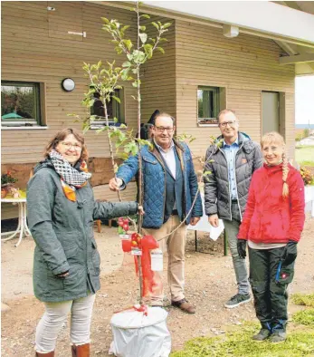  ?? FOTO: CHRISTINA MARIA BENZ ?? Freuen sich über die gelungene Zusammenar­beit: Architekti­n Sabine Müller-Schlegel, Bürgermeis­ter Roland Fuchs, Michael Amann vom gleichnami­gen Bauunterne­hmen in Altshausen und Waldkinder­gartenleit­erin Doris Hagg (von links) beim Überreiche­n des Apfelbaums zur offizielle­n Übergabe des Gebäudes.