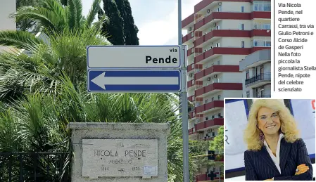  ??  ?? Via Nicola Pende, nel quartiere Carrassi, tra via Giulio Petroni e Corso Alcide de Gasperi Nella foto piccola la giornalist­a Stella Pende, nipote del celebre scienziato