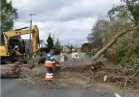  ?? FOTO JVDV ?? Om stormschad­e te melden kan u vandaag terecht op het speciale noodnummer 1712. Voor dringende medische hulp belt u nog steeds naar 112.