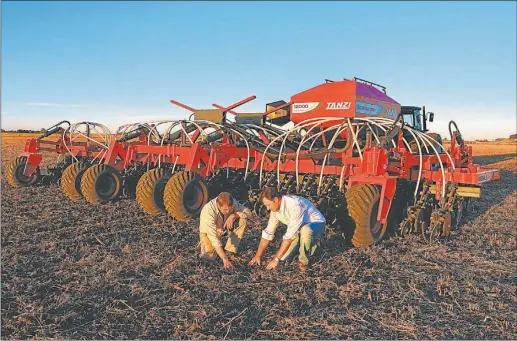  ?? FOTOS: CEDOC PERFIL ?? SIEMBRA. El avance de la implantaci­ón de trigo ya alcanzó el 90% del ls 6,7 M de has que se destinarán al cultivo en esta campaña.