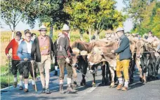  ?? FOTO: PRIVAT ?? Eine Szene vom letzten Almabtrieb: Die Männer in Tracht, die Rinder ordentlich im Zaum gehalten.