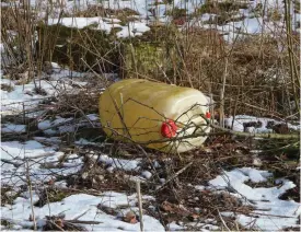  ?? FOTO: MOSTPHOTOS ?? Bästa tiden att städa bort skräp från stranden är strax efter att snön har smält, innan växterna gömmer en del av skräpet för talkofolke­t.