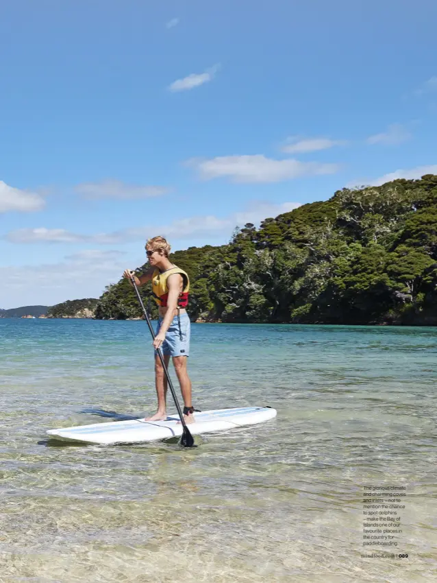  ??  ?? The glorious climate and charming coves and inlets – not to mention the chance to spot dolphins – make the Bay of Islands one of our favourite places in the country for paddleboar­ding.