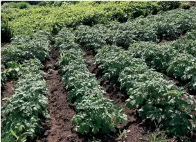  ?? ?? Europa debate apoio face à subida dos custos dos fatores de produção.