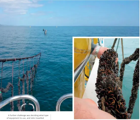  ??  ?? Clockwise from left:
Harvesting mussels   first spat collectors   a healthy crop