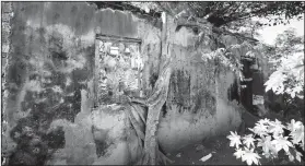  ??  ?? Dozens of plantation ruins, like this one in Port Howe, still stand on Cat Island, Bahamas, reminders of the use of slave labor to produce crops in the 18th and 19th centuries.