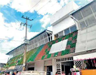  ??  ?? Plaga de pichones en el mercado municipal Benito Juárez, genera insalubrid­ad.