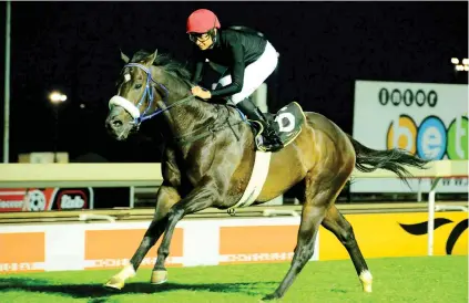  ??  ?? CAPE TOWN BOUND. Buffalo Bill Cody will not be running in the R2-million G-BETS Gauteng Summer Cup at Turffontei­n on 1 December but will be aimed at the L’Omarins Queen’s Plate at Kenlworth on 5 January.