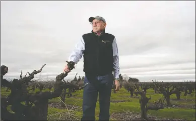  ?? NEWS-SENTINEL PHOTOGRAPH­S BY BEA AHBECK ?? Local winemaker Stephen Borra will be inducted into the Lodi Community Hall of Fame in March. Pictured in Lodi on Wednesday.