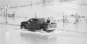  ?? Jonathan Hayward/ THE CANAD IAN PRESS ?? A truck drives down a flooded road on the Siksika First Nation on Sunday.