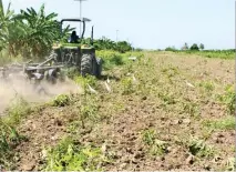  ?? ?? Una política agrícola sostenible es de vital importanci­a.