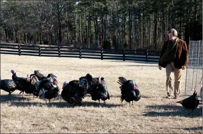  ?? Special to the Democrat-Gazette ?? P. Allen Smith checks on his Spanish Black turkeys at his Moss Mountain Farm. Smith said the Spanish Black has a “rich flavor profile.”