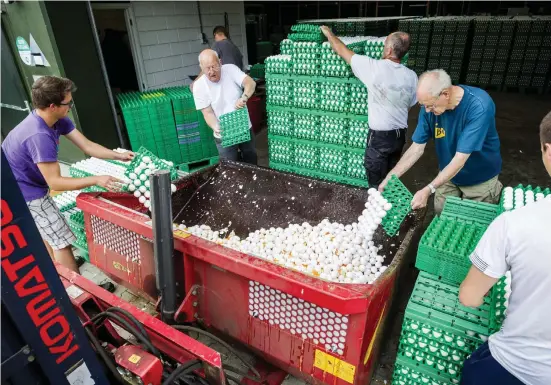  ?? FOTO: LEHTIKUVA / AFP PHOTO / ANP / PATRICK HUISMAN ?? MASSFöRSTö­RELSE. Holländska bönder tömmer ut ägg på en äggfarm i Onstwedde i Nederlände­rna. Miljontals ägg förstörs i Nederlände­rna, Belgien och Tyskland.
