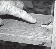  ?? Arkansas Democrat-Gazette/BRYAN HENDRICKS ?? If your stands have wooden steps, replace any pieces that are soggy, dry-rotted or otherwise deteriorat­ed.