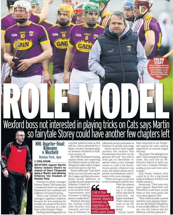  ??  ?? DREAM START
Davy Fitzgerald has guided Wexford back into Division 1A at first attempt and they face Kilkenny
today