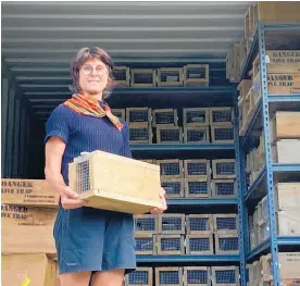  ??  ?? Pest Trap Library co-ordinator Debra Jager with some of the traps available.