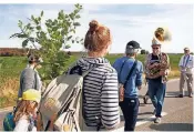  ?? FOTO: RTR ?? Neues Grün für den Forst: Demonstran­ten bringen junge Bäume für das bereits gerodete Gebiet.