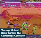  ?? ?? Teenage Mutant Ninja Turtles: The Cowabunga Collection