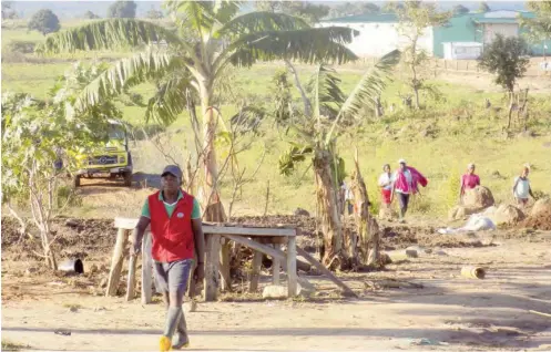  ??  ?? Workers at the farm returning after a hard day’s work