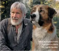  ??  ?? Woof! As Harrison Ford’s best friend in 2020’s
The Call Of The Wild.