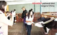  ??  ?? GELAGAT pelawat dari negara China.