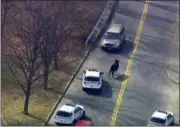  ?? AP FILE ?? In this Feb. 21 file image taken from video provided by WABC, a bull that escaped from a local slaughter house is pursued by police in New York.