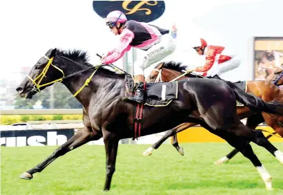  ??  ?? STRIKER’S RIDE. Piere Strydom will be riding Surcharge in today’s R1-million Gauteng Guineas over 1600m at Turffontei­n but will need luck from No 14 draw