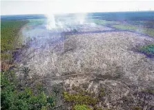  ?? DPA ?? Hunderte Hektar Wald haben die Flammen vernichtet. In dem Gebiet hatte es schon 2018 einen großen Waldbrand gegeben.