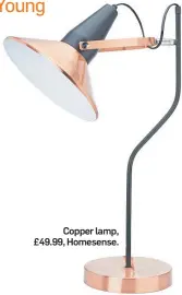  ??  ?? Copper lamp, £49.99, Homesense.