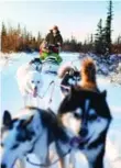  ?? DESTINATIO­N CANADA ?? Dogsleddin­g trips can range from an hour to overnight, depending on the location.