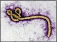  ?? CENTERS FOR DISEASE CONTROL ?? An Ebola outbreak in a remote, forested part of the Congo has caused three deaths.