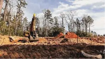  ?? Jason Fochtman/Staff photograph­er ?? Conroe city leaders are trying to figure out how to discourage tree clearing afer an updated ordinance allowed developmen­ts that were already approved to continue.