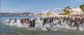  ?? (Photo NM) ?? Les Antibois vont se jeter à l’eau comme chaque année depuis  ans.