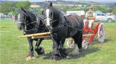  ??  ?? Pictured is a horse and cart at a previous event. This year’s show is to feature heavy horse and bird-of-prey demonstrat­ions, as well as music and a wealth of children’s activities such as tree climbing and bug house building.